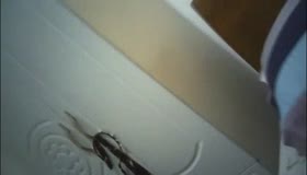 爆插少数民族99年娇小爆乳妹