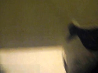 zipai#牛人潜入商场女厕侧拍近距离几个年轻美眉的逼逼嘘嘘