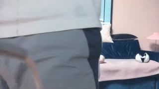 太子探花极品第二场颜值不错妹子，舌吻逼摸后入抽插上位骑乘猛操