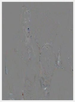 伊希斯爱情脸潜水那新鲜的女同性恋猫