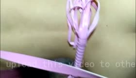 嫂子的大屁屁好香