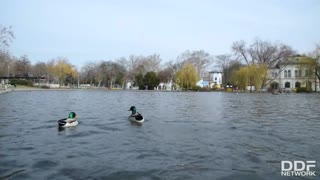 青春期少女的烦劳