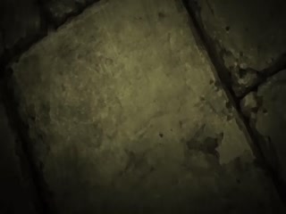 黑兽～玷污高贵圣女～战栗的乱交剧肿胀前端啃食高贵姬骑士柔肌h_589acjdpr0001r