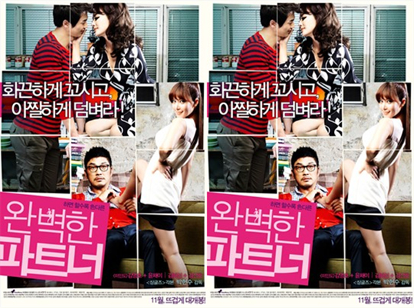 日韩剧情-完美搭档