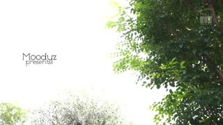 為了深愛的老公成為真人娃娃被陌生人侵犯的我 椎名空 MIAA-131