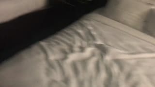 Starting on the lounge