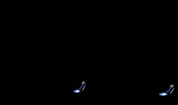 巴多恩克沃纳包梅和费利西娅基斯