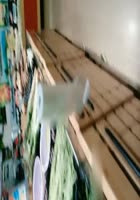 黄瓜插逼出水狂流