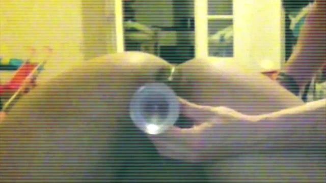 法兰西·贝瑞特的阴部被阉割了