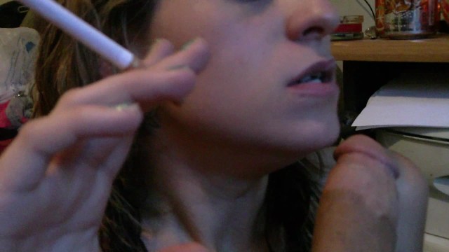 SaraSwallow——训练是服从的关键——它没有没有比这更好的了