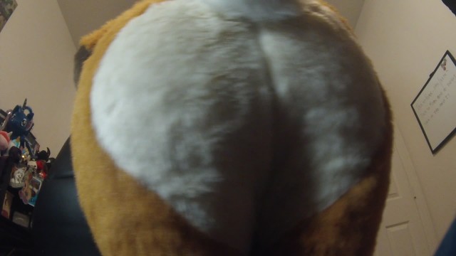 烟蒂