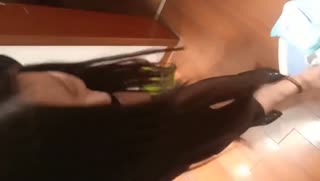 性感黑丝短裙少妇约炮眼镜小哥撕开裆部台子上自己动