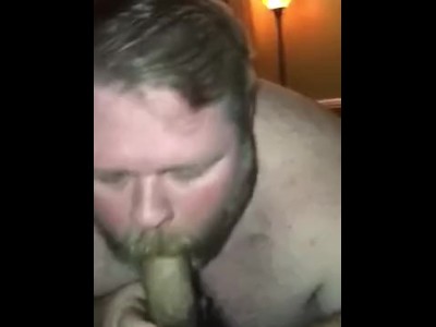 熊继父吮吸他的儿子