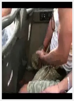 射液只是不错公鸡不错