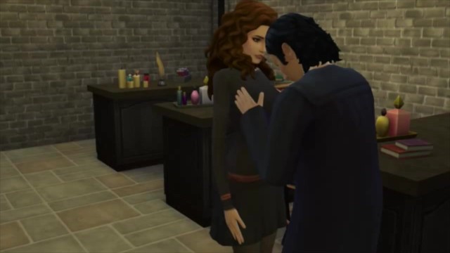 斯内普·布鲁教授操赫米奥内·格兰杰