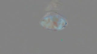 人工少女~变身智能机器人