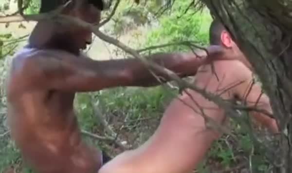 Ace Rockwood Stroke00