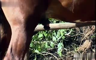 “真正的恋人癖场面中的妻子色情片