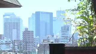 成為鄰居情婦的妻子19 葵玲奈 NDRA-062