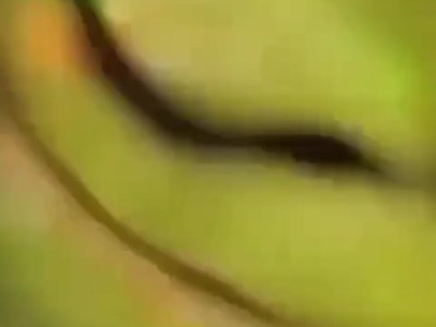 被4k缠住了你的耳垂