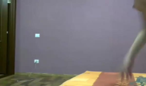 0388_juliana grandi and zafira pretty fis of fury ~80