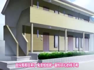 少交女THEANIMATION