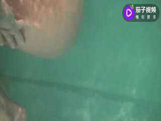 可爱少女全裸在泳池自慰小逼粉嫩