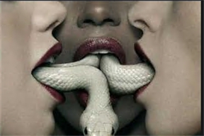 American horror story  AV edition