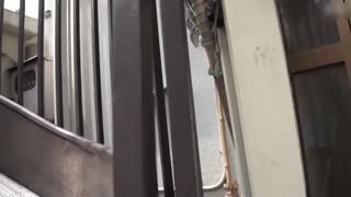 OKAX-485-CN_趁放鬆瞬間襲擊 無法逃脫 從後面強硬手淫和舌尖愛撫…4小時