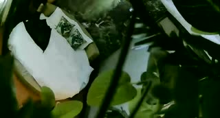 小妹妹不想和才刚认识的哥哥啪啪啪~被扑倒三次后没力只好让他操…