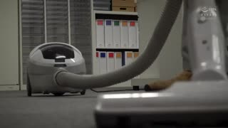 鬣狗姦 陰沈女子社員被強暴到痙攣高潮 蕾 WANZ-891