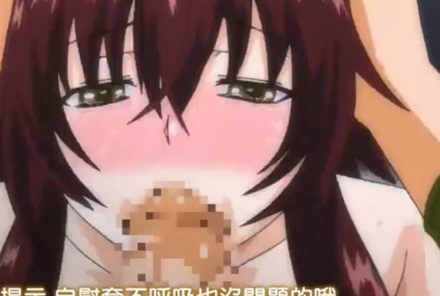 フェラハメりっぷす 合集