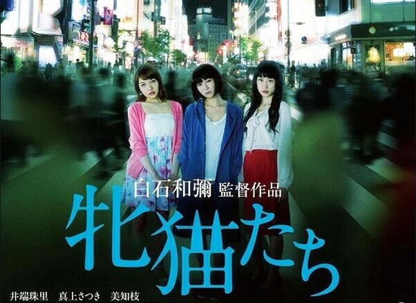 粉红经典各种风情人妻夜间生活淫荡迷人诱惑作品漂亮的母猫们高清字幕版激情佳作熟悉的味道欣赏收藏