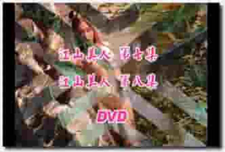 港台 写真 模特 大亿传播 蓬莱仙山四点全露写真江山美人 写真秀DVD4第07 08集