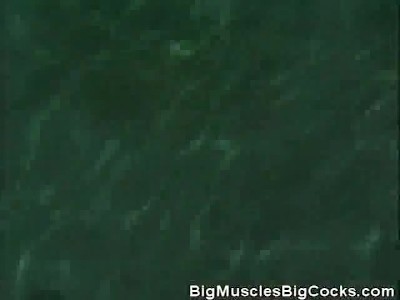 肌肉发达的雄鸡在泳池边吮吸