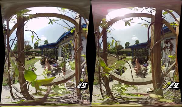 碗口婆心的礼物