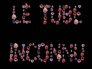 AnusDilateCoolcoolbite,Free