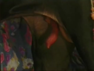 “渴望公鸡的年长的红发成熟的流浪汉无法抗拒与一只黑狗性行为