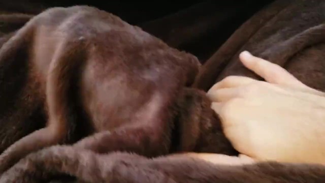 在床单下玩这只大鸡巴，大声性感地呻吟