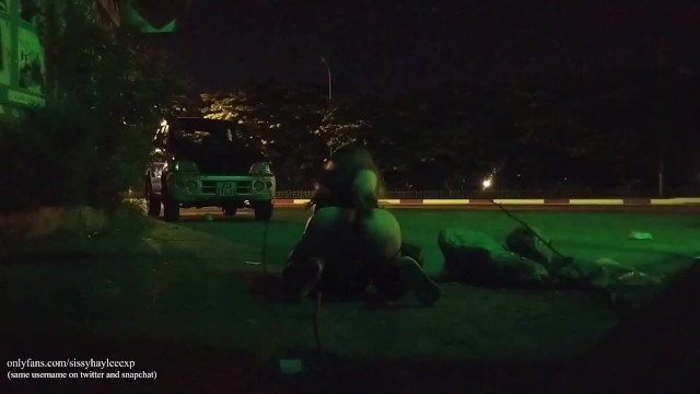 西茜·海莉s公共A2M，带插头和假阴茎第1部分