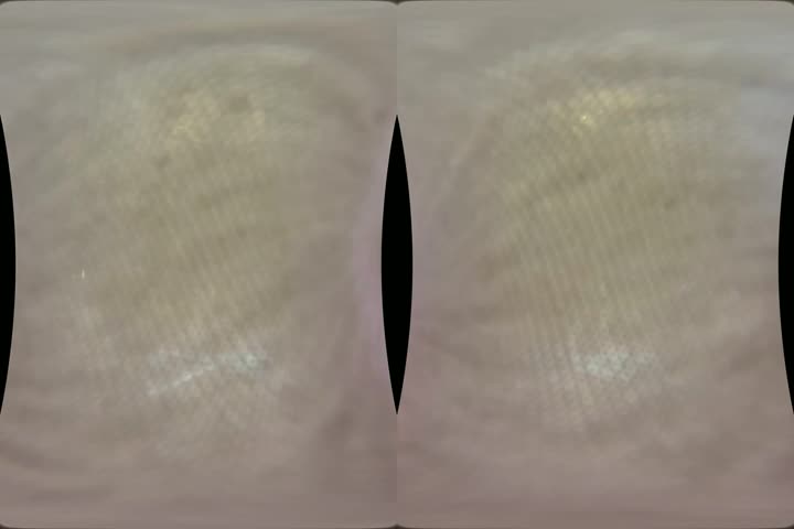 Fuck Carla Gently - VR PMV