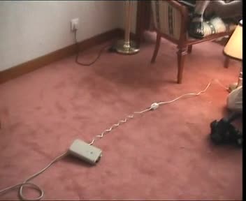 loli0608 New Chinese 12Yo Girl Pthc Hussyfan R欧美