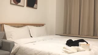 探花精选】极品外围女神体力强悍持久输出