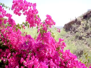 angels-of-lesbian-love-show-how-tender-can-be-sex