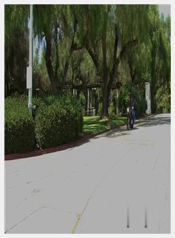 骑摩托车, 体内射精