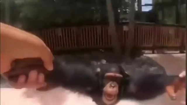 生活可能是一场梦