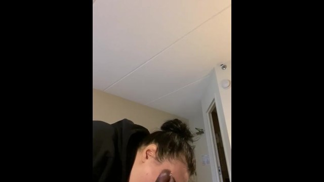 Boston thot用燕子吸马屁