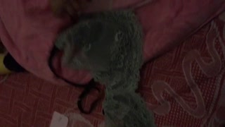 最新泄露门交流分享《客户修电脑泄露美女大尺度日常撩骚图片 视频完整档案》揭露良家素人日常不为人知的一面