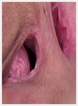 瑟琳娜·戈麦斯-猫-pov-deepfake