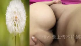 车上没操够去她家继续操